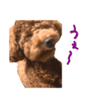 気性の荒い犬（個別スタンプ：7）