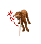 気性の荒い犬（個別スタンプ：8）