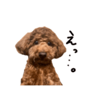 気性の荒い犬（個別スタンプ：10）