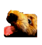 気性の荒い犬（個別スタンプ：16）