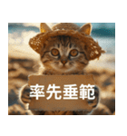 猫と四字熟語★vol.02（個別スタンプ：20）