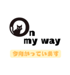 猫のアルファベット: 英語＆日本語（個別スタンプ：14）