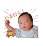 ぴーコレ①（個別スタンプ：13）