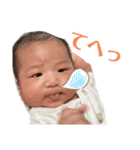 ぴーコレ①（個別スタンプ：31）