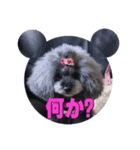 自画自賛007（個別スタンプ：4）