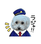 まるぷー 두부（トゥブ）-3（個別スタンプ：6）