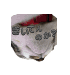 れおちゃんをスタンプにしました（個別スタンプ：20）