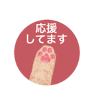 いろんな肉球と敬語（個別スタンプ：29）