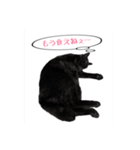 僕らの日常: あめちゃん＆うらちゃん（個別スタンプ：9）