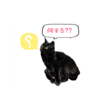 僕らの日常: あめちゃん＆うらちゃん（個別スタンプ：14）