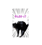 僕らの日常: あめちゃん＆うらちゃん（個別スタンプ：15）