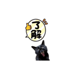 僕らの日常: あめちゃん＆うらちゃん（個別スタンプ：23）