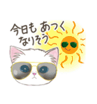 夏猫の☆日常スタンプ（個別スタンプ：19）