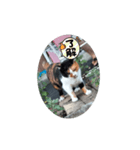 ㋯㋘㋧㋙（個別スタンプ：10）