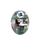 ㋯㋘㋧㋙（個別スタンプ：11）