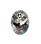㋯㋘㋧㋙（個別スタンプ：12）