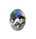 ㋯㋘㋧㋙（個別スタンプ：16）