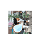 ㋯㋘㋧㋙（個別スタンプ：19）