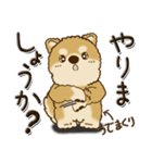 柴犬『やる気ある？ない？』（個別スタンプ：21）