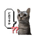 うりうみたろう（個別スタンプ：2）
