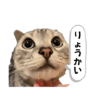 うりうみたろう（個別スタンプ：3）