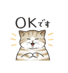 ぽちゃねこ！（個別スタンプ：1）