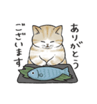 ぽちゃねこ！（個別スタンプ：16）