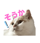 ムーンさんといっしょ（個別スタンプ：3）