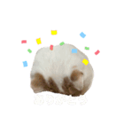 ムーンさんといっしょ（個別スタンプ：4）