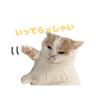 ムーンさんといっしょ（個別スタンプ：5）