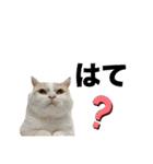 ムーンさんといっしょ（個別スタンプ：6）