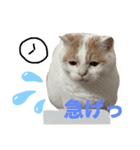 ムーンさんといっしょ（個別スタンプ：15）