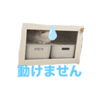ムーンさんといっしょ（個別スタンプ：16）