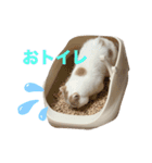 ムーンさんといっしょ（個別スタンプ：19）