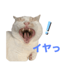 ムーンさんといっしょ（個別スタンプ：21）