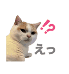 ムーンさんといっしょ（個別スタンプ：24）