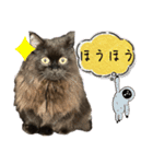 黒猫 ルナ院長151にゃんめ（個別スタンプ：7）