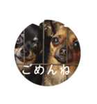 チワワとはチワワ（個別スタンプ：5）