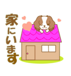 わんこ日和(キャバリア)①-toYvu-（個別スタンプ：37）