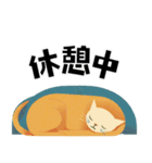 便利なおしゃ猫スタンプ（個別スタンプ：4）