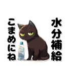 碧眼黒猫の夏（個別スタンプ：22）