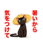 碧眼黒猫の夏（個別スタンプ：27）