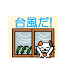 【動く】たまとクロの夏（日本語版）（個別スタンプ：11）