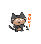 にゃっぷぅ Summer ver.（個別スタンプ：18）