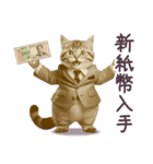 新紙幣 パーカーねこ ぽっちゃり（個別スタンプ：2）