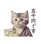 新紙幣 パーカーねこ ぽっちゃり（個別スタンプ：5）