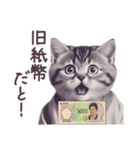 新紙幣 パーカーねこ ぽっちゃり（個別スタンプ：6）