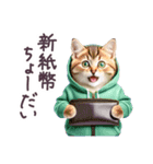 新紙幣 パーカーねこ ぽっちゃり（個別スタンプ：16）