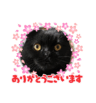 ♡黒猫2♡（個別スタンプ：8）