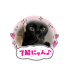 ♡黒猫2♡（個別スタンプ：17）